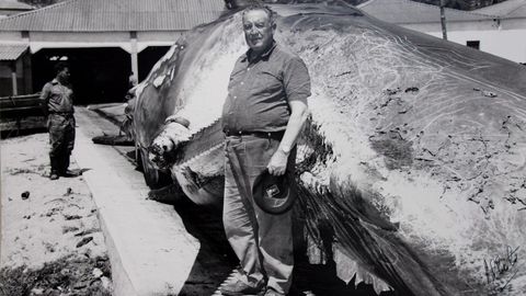 1962: Santiago Bernab&eacute;u en Caneli&ntilde;as (Cee) tras desembarcar del barco El Temerario, en el que particip&oacute; en la caza de ballenas