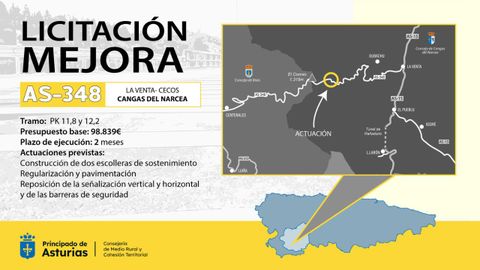 Infografa de la licitacin de las obras en la AS-348