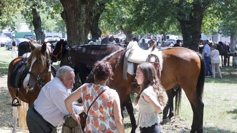 La muestra ecuestre y un espectáculo de doma centraron los actos del último día