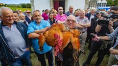 La romer�a de San Adri�n de Verdes, �en im�genes!