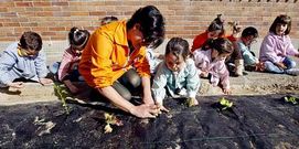 Los alumnos de Espedregada plantaron lechugas y tomates.