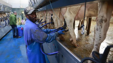 Un trabajador senegals en una granja de Ronfe, en Lncara