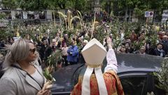 Domingo de Ramos en Ourense