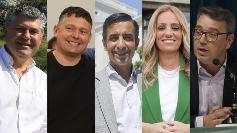 Ovidio Rodeiro (PP-Boqueixn),Manuel Lourenzo (BNG-Soutomaior), Jos Manuel Rey Varela (PP-Ferrol),Marta Nvoa (PP-San Cibrao das Vias) y Daniel Vega (PP-Ribadeo)