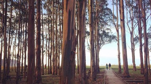 La ganadora de la 1� edici�n del Concurso fotogr�fico #milugardelarednaturaldeasturias