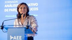 La presidenta de la patronal elica nacional, en la jornada celebrada este jueves en Madrid