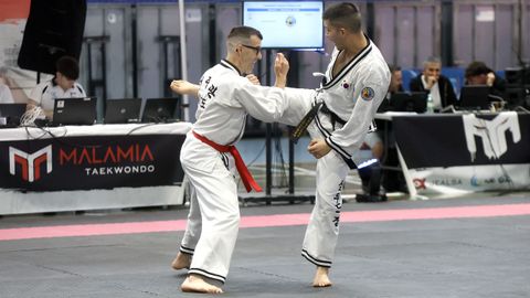 Campeonato gallego de hapkido en el Pabell�n de Barra�a
