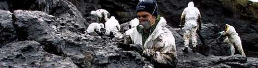 Voluntarios llegados de muchos pa�ses se desplazaron en el 2002 hasta la Costa da Morte para extraer con sus manos el chapapote.