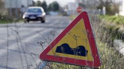 La carretera de Monforte a Currelos ser� una de las que se beneficien de las obras