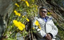 Calel escolleu o castelo para a foto, polas �Crepis novoana� e as �Linaria aguillonensis�. 