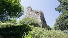 Vista de la torre, que est� situada en la parroquia de Pino