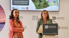 La vicepresidente de la Diputaci�n y presidenta local, Luisa S�nchez, durante una comparecencia