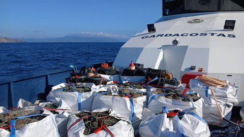 Decomiso de artes de pesca