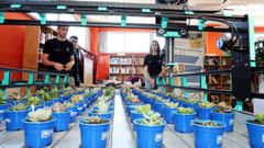 Caixabank Dualiza premi� ya el a�o pasado un proyecto de FP Dual de Valga para la automatizaci�n de la agricultura de proximidad
