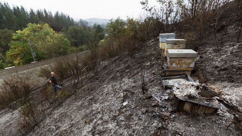 Colmenar quemado en Chavaga
