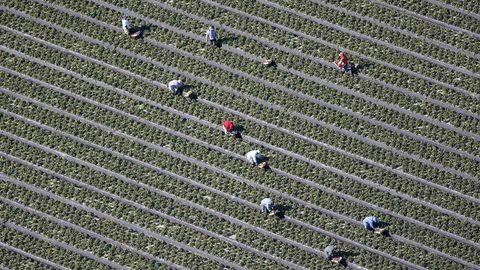 Vista area de un campo en Florida