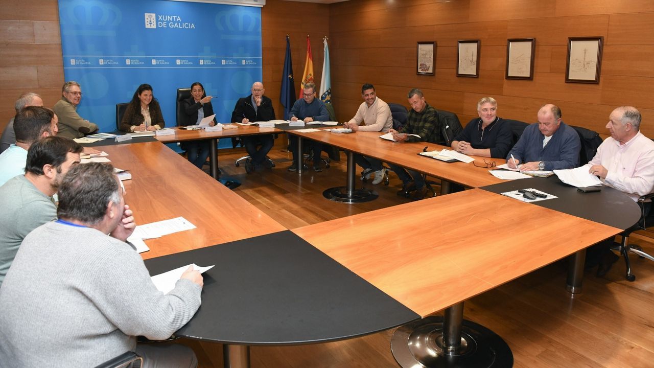 La Comisión do Mexillón, más preocupada por la toxina, acepta retrasar al 1 de enero la campaña de la mexilla