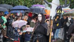 La lluvia no amilan al numeroso pblico que acudi al carnaval de Cambre.