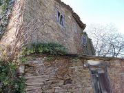 Estado de abandono de la casa-torrede Dumia. 