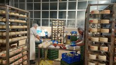 L�cteos Lor�n, la casa que obr� el milagro de los quesos y pas� de producir 20 a 5.000 kilos diarios