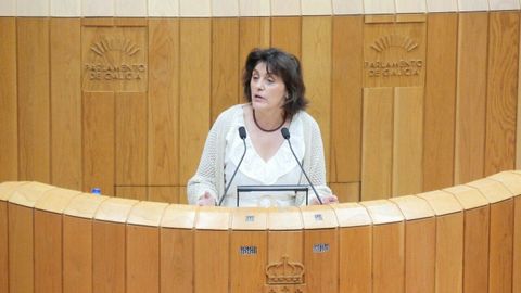 A portavoz de Montes e Industrias Forestais do BNG na s�a intervenci�n no Parlamento de Galicia o 8 de agosto.