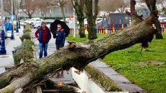 La huella de F�lix en Vigo