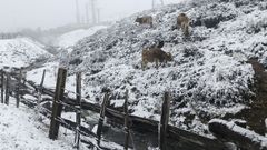 Vista de la nieve ca�da en Puerto de Pajares en la N-630, una de las principales carreteras en alerta en la localidad de Pajares, Asturias