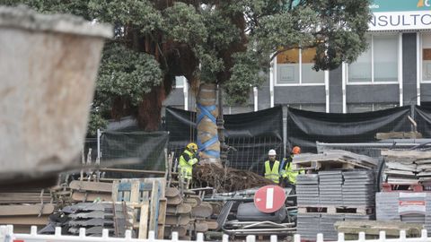 Traslado del metrosidero del Cant�n Grande