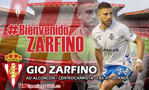 Gio Zarfino