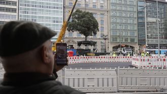 As fue el traslado del metrosidero del Cantn Grande