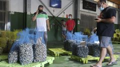 Una subasta, el pasado verano, en la lonja de Campelo, en Poio