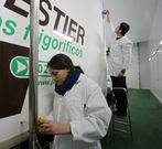 La inversi�n en el laboratorio ronda los 1,6 millones. 