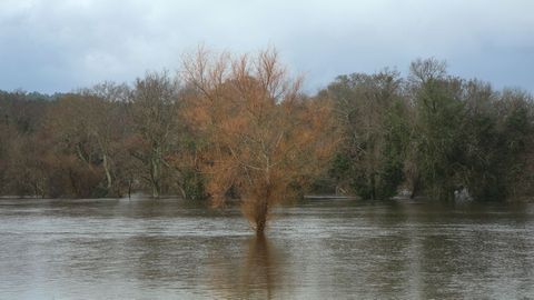 El r�o Umia baja por fuera de su cauce en casi toda la comarca
