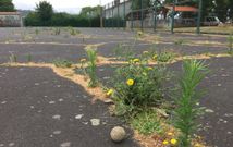 La pista deportiva est� impracticable debido a las grietas, socavones y presencia de plantas. 