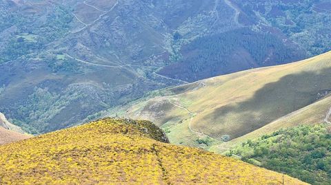 Amarelo e verde intensos na vista desde o alto de Penaboa (O Courel)