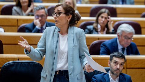 La ministra de Sanidad, M�nica Garc�a interviene durante una sesi�n plenaria del Senado.