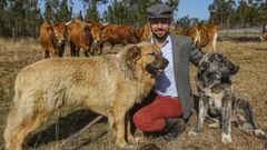 Jos� Garrido y sus vacas cachenas