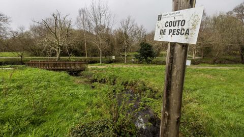 Zona acotada de pesca en el r�o Anll�ns, en Carballo. 