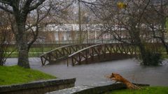 Inundaciones en Gondomar 