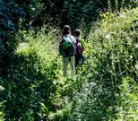 Las asociaciones piden m�s limpieza en el camino. 