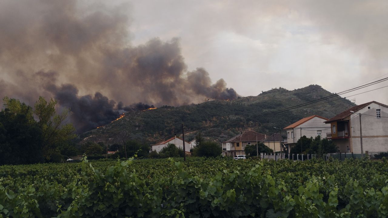 www.lavozdegalicia.es