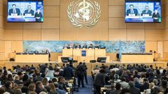 La Asamblea Mundial de la Salud se inaugur� este lunes en Ginebra coincidiendo con dos crisis sanitarias abiertas