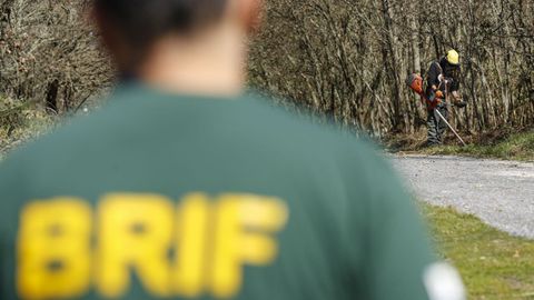 Las cuadrillas de prevencin de la BRIF estn formadas por siete bomberos forestales y un capataz, que realizan labores de desbroce manual o aplican quemas. 