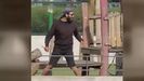 Dos ni�os y un adulto muy graves tras ser apu�alados en un parque al este de Francia