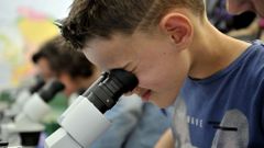 Con el D�a Mundial de la Ciencia para la Paz y el Desarrollo la ONU pretende acercar la ciencia a la sociedad