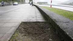 Imagen de uno de los espacios verdes en el paseo de Viveiro a Celeiro (ahora vaco, una vez retirada la planta rota) donde los vndalos destrozaron ocho alibustres