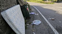 Imagen de una zona llena de basura en Nigr�n