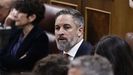 El l�der de Vox, Santiago Abascal, este mi�rcoles en el Congreso.