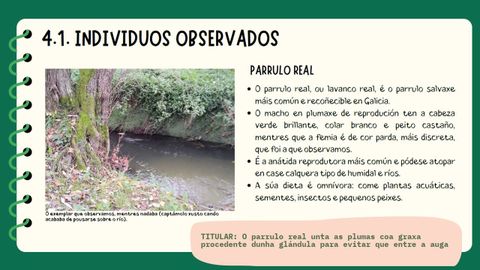  El trabajo de 5.� B del CEIP Reboreda, de Redondela