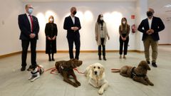 PRESENACION DE LA AMPLIACI�N DEL PROGRAMA DE ACOMPA�AMIENTO EN LOS JUZGADOS CON PERROS DE TERAPIA PARA MENORES V�CTIMAS DE VIOLENCIA DE G�NERO EN LA FUNDACIO MARIA JOSE JOVE